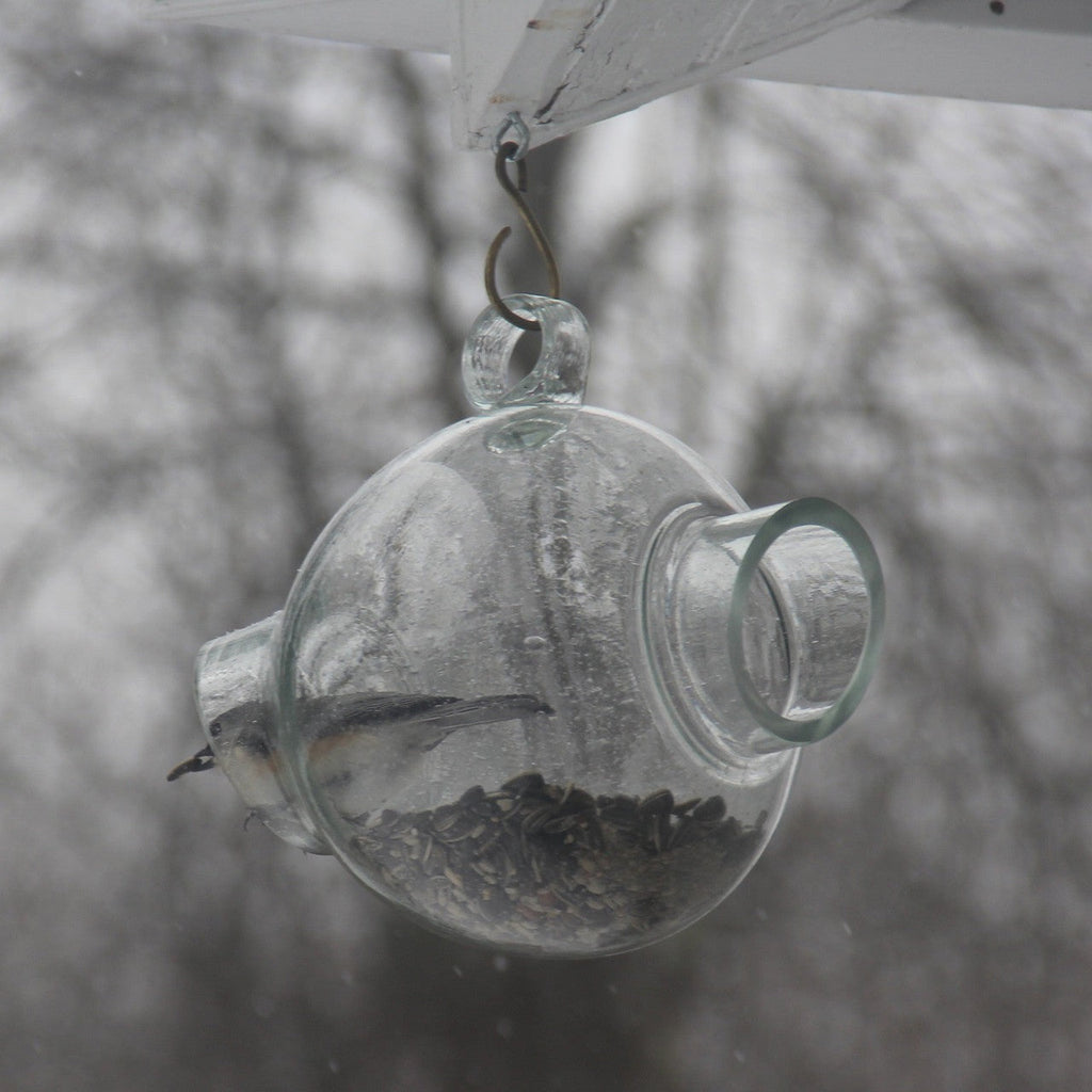 Large Glass Bird Feeder