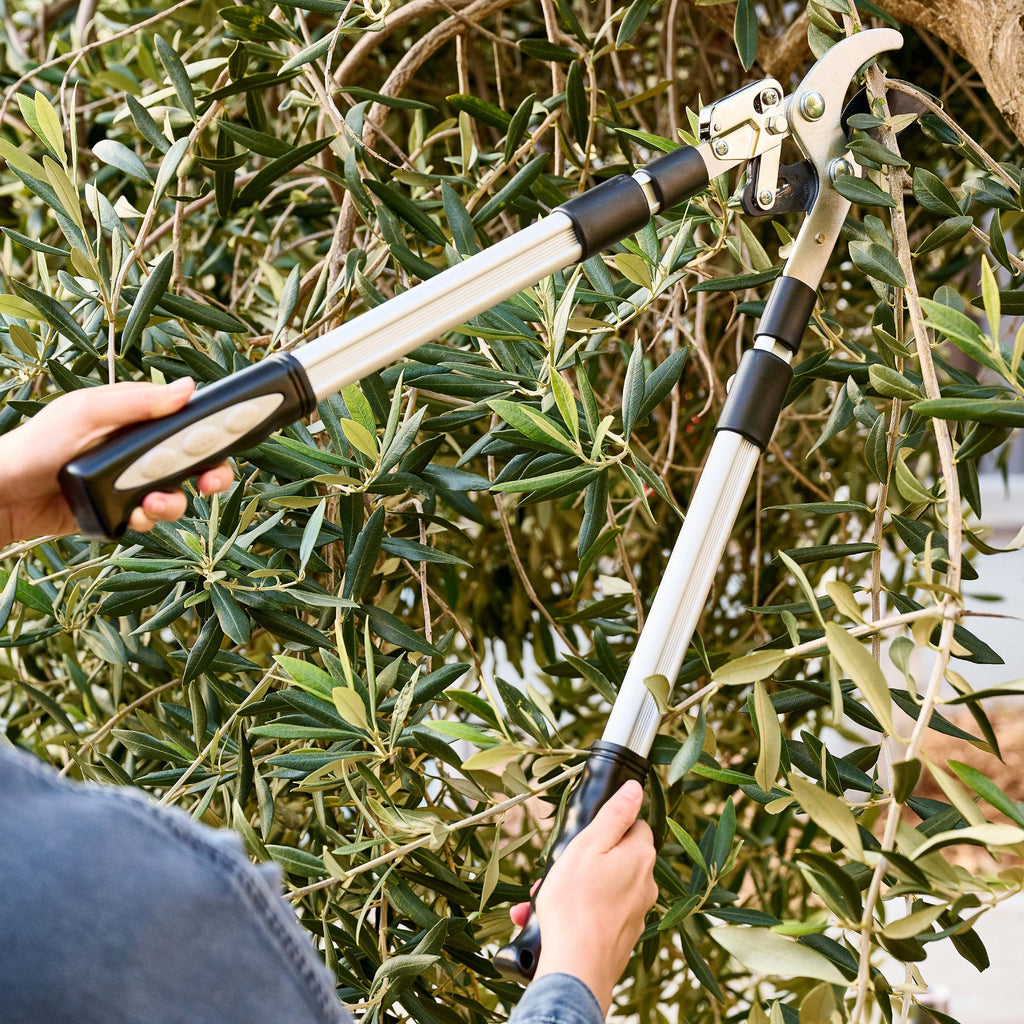 Garrett Wade Heavy Duty Lopper Set