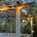Vibrant Outdoor Edison String Lights