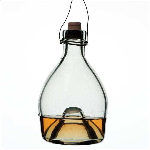 Eco-Friendly Glass Wasp Trap