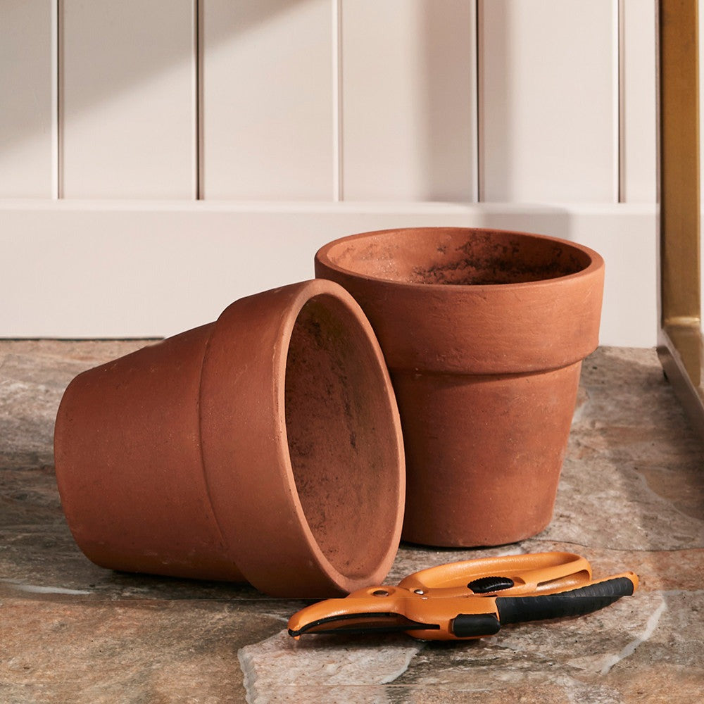 Single Terracotta Pot