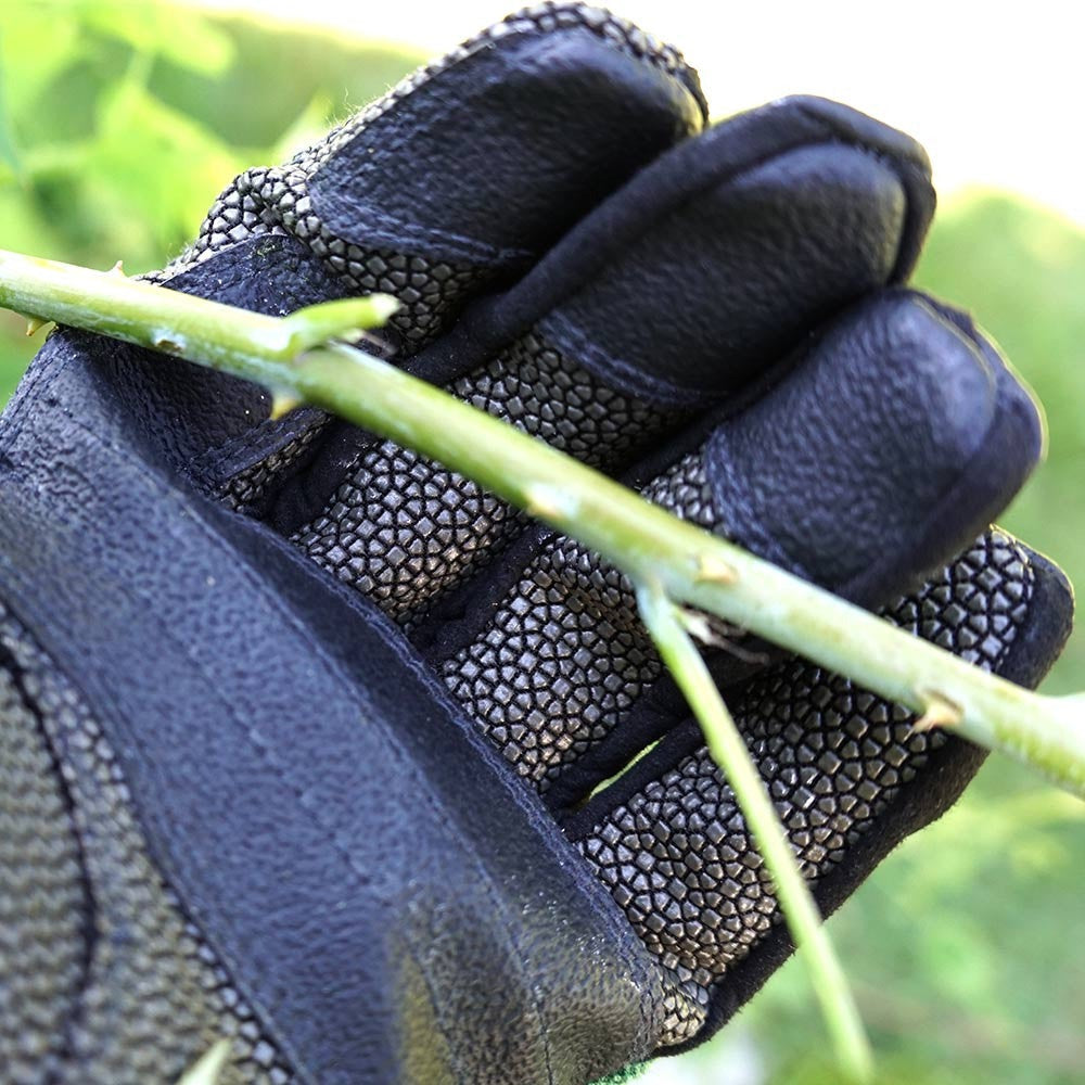 Blue Safety HD Work Gloves (x-large)