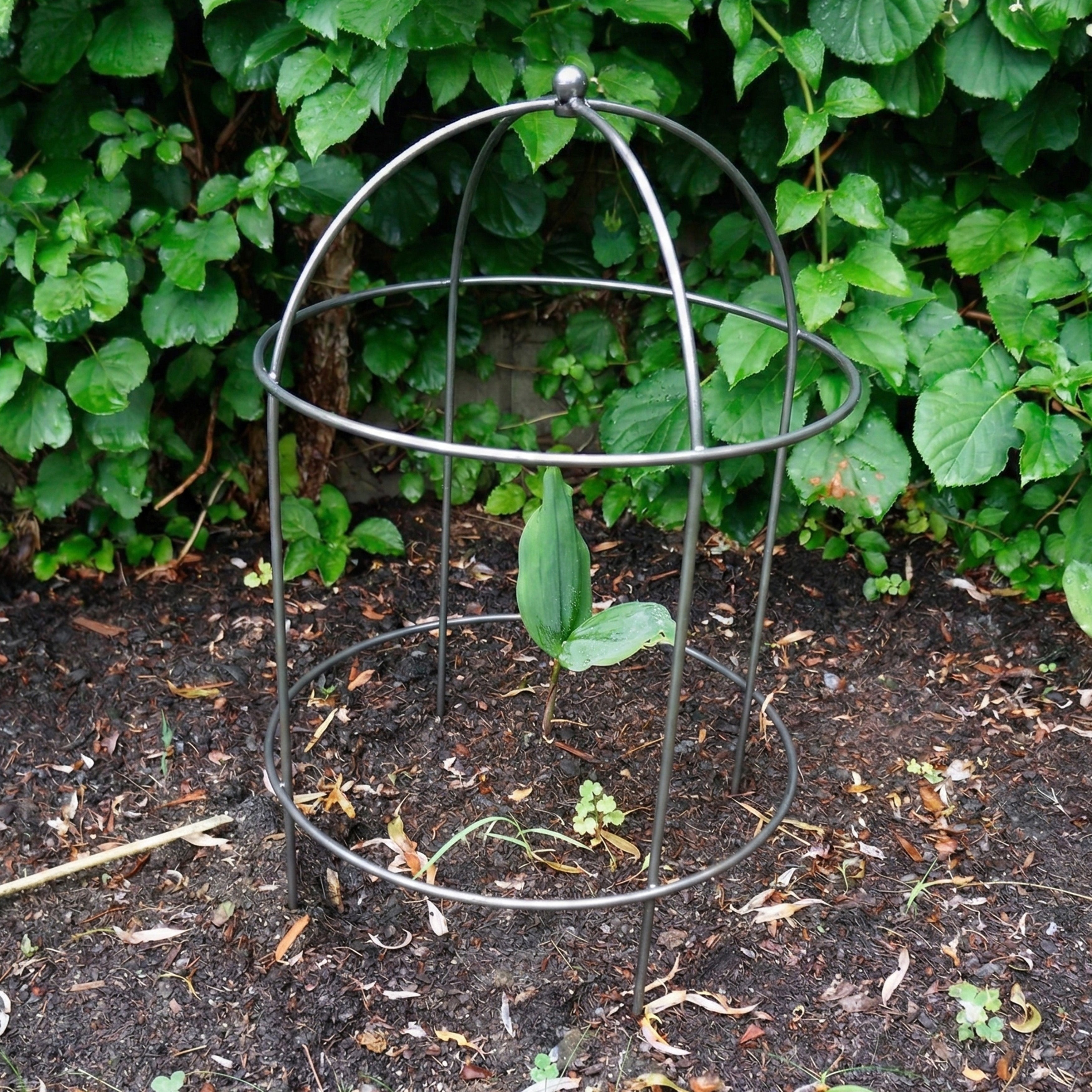 Domed Garden Support (Set of 4)