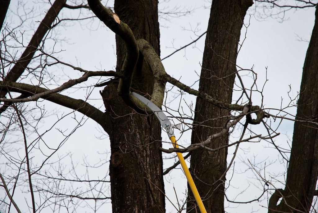 Hi-Reach 19 ft Pole Saws
