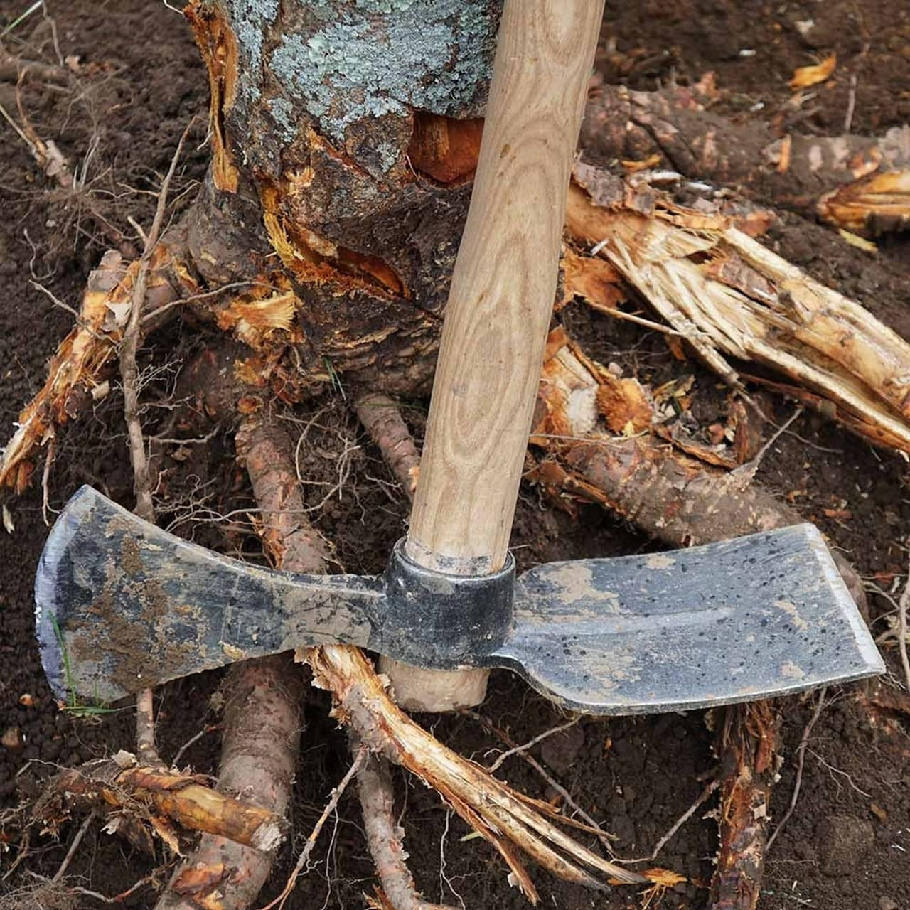 Traditional German Mattock