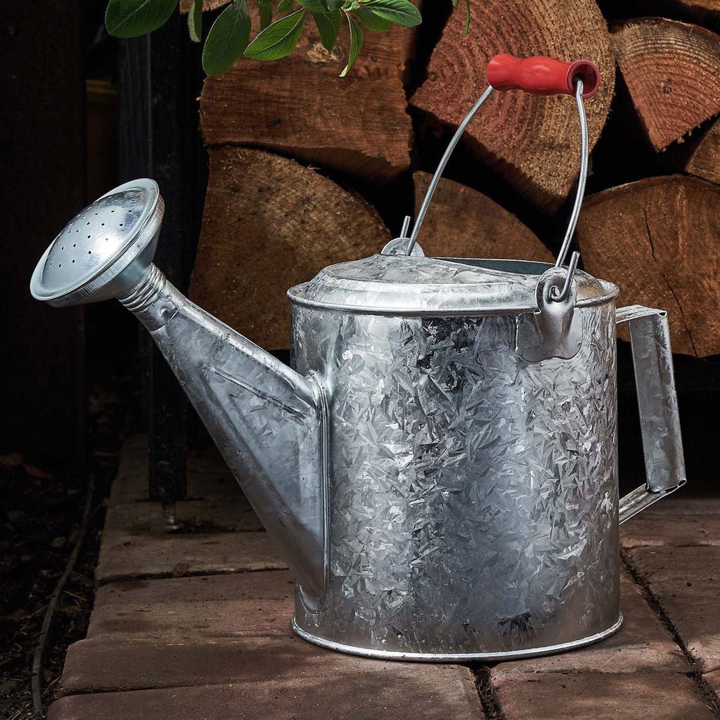 Galvanized 1.5 Gallon Watering Can with Wooden Handle