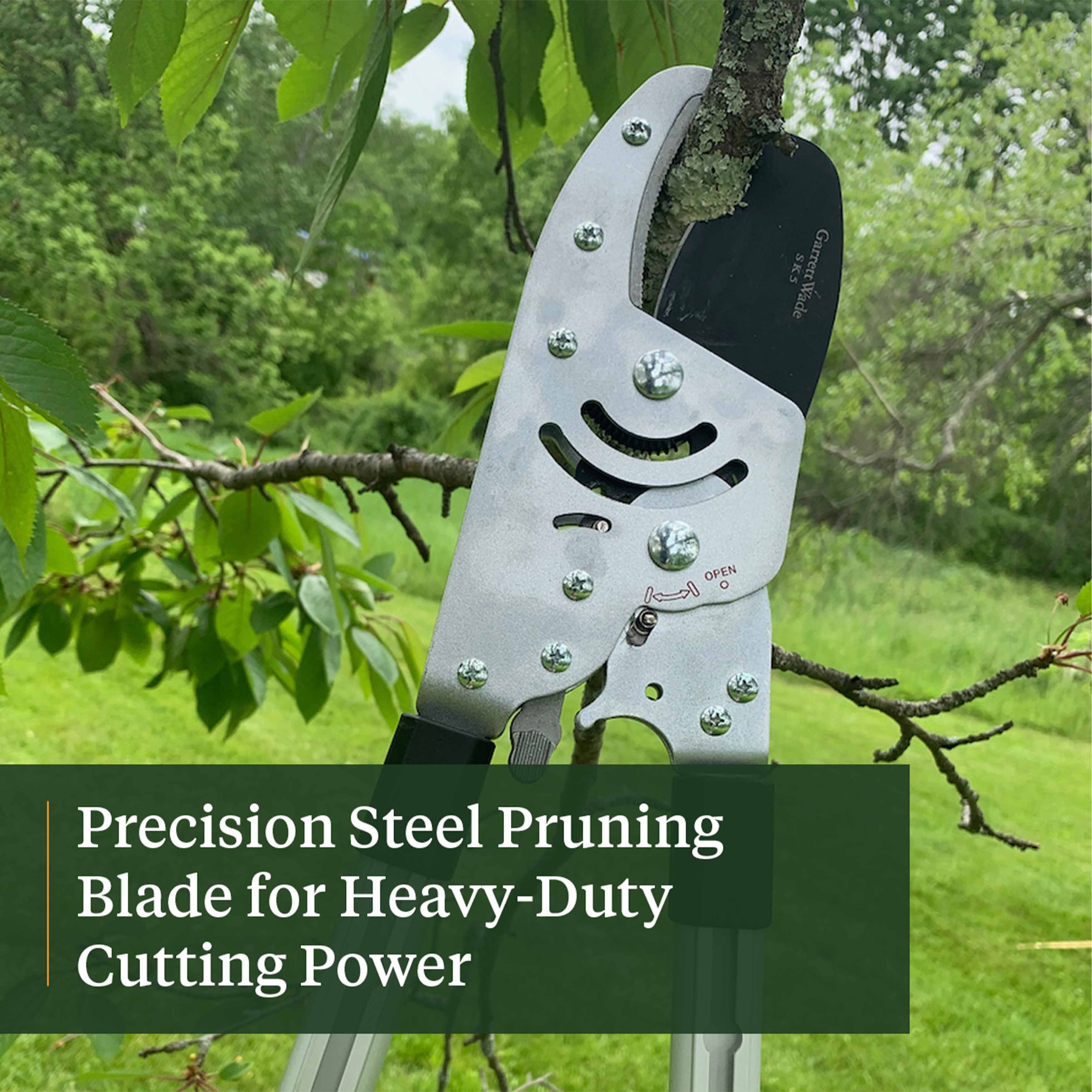 Ultimate Pruning Set
