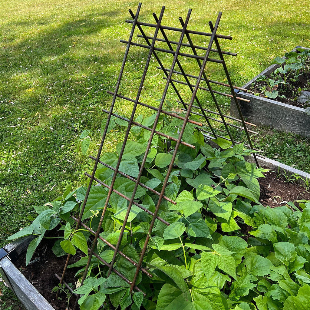 Interlocking Steel Garden Trellis