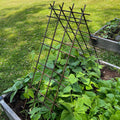 Interlocking Steel Garden Trellis