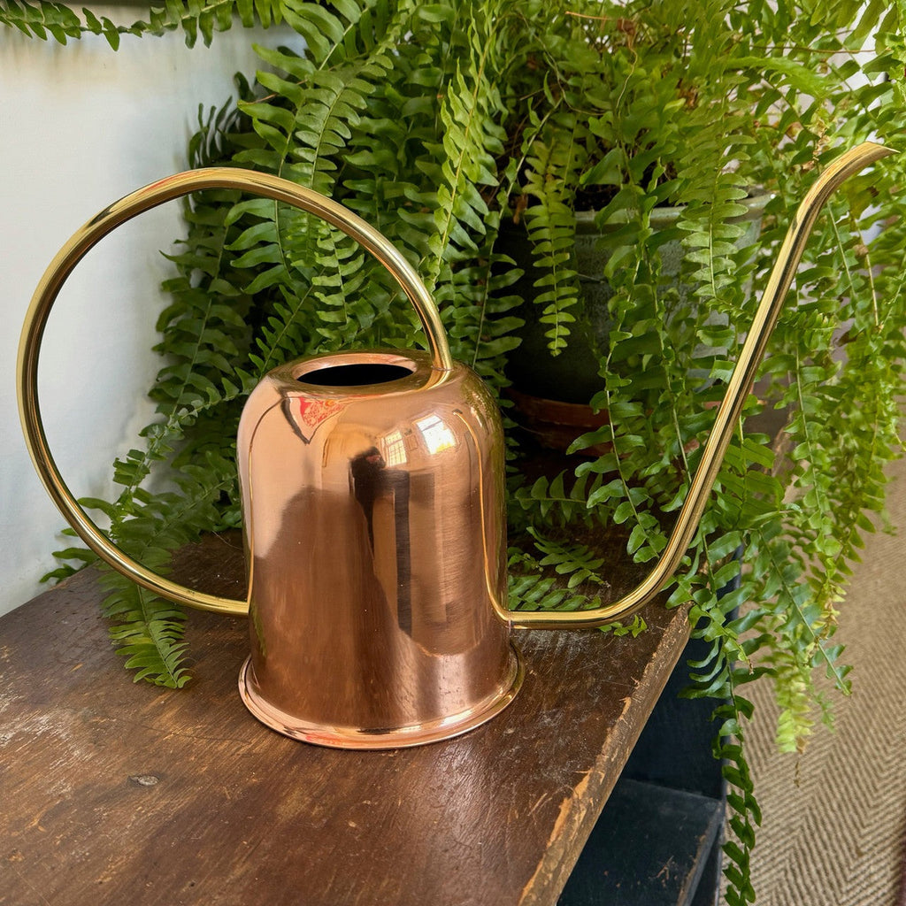 Copper & Brass Indoor Watering Can