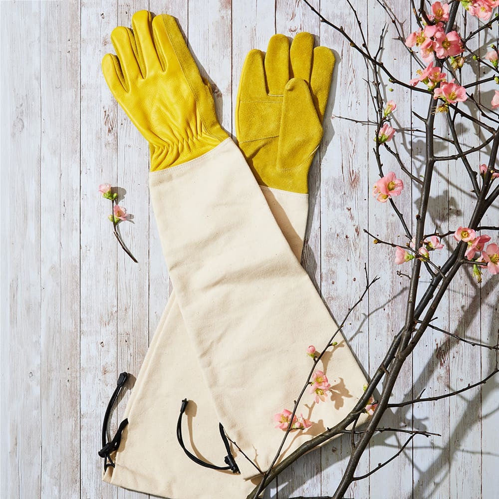 Heavy-Duty Bramble Gloves With Integrated Arm Guards - Large