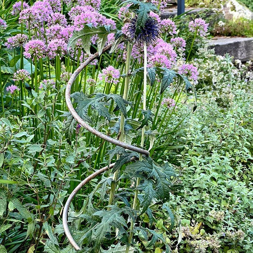 Spiral Plant Supports (Set of 2)