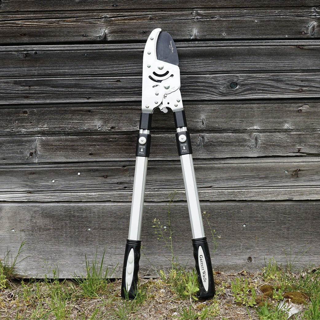Ultimate Pruning Set