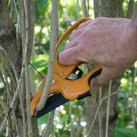 Garrett Wade Ratcheting Hand Pruner & Sheath