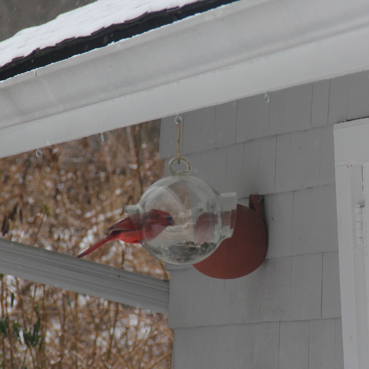 Large Glass Bird Feeder