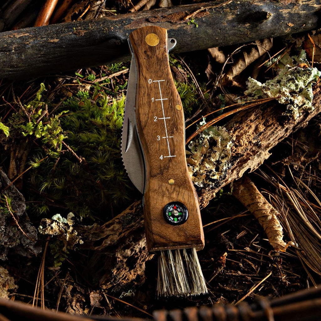 Redwood Mushroom Knife