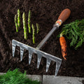 Red Pig Hand Rake