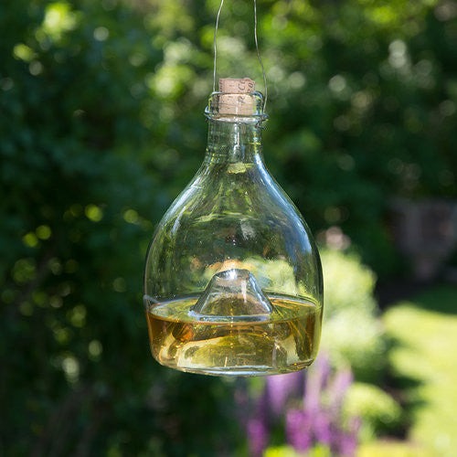 Eco-Friendly Glass Wasp Trap