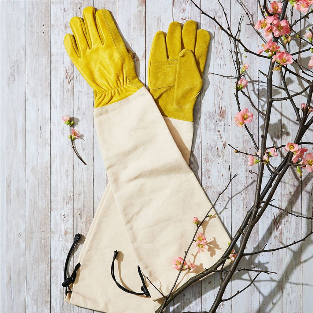 Flower Lover's Set (4-pc set)
