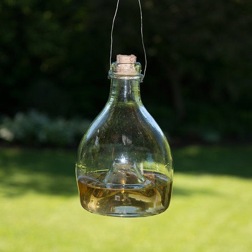 Eco-Friendly Glass Wasp Trap