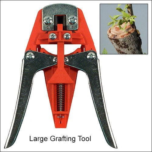 Professional Grafting Tool