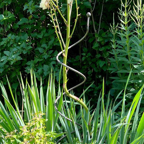 Spiral Plant Supports (Set of 2)
