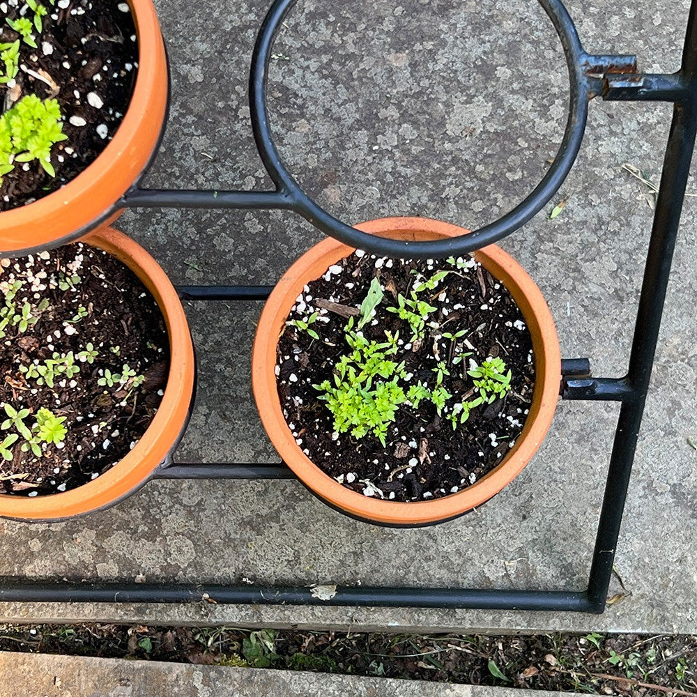 Terracotta Planter Stand Including 9 Pots