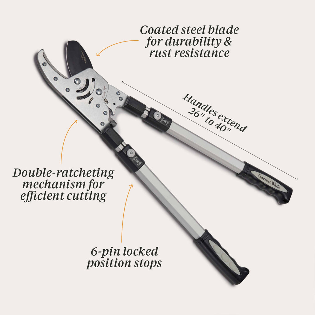 Ultimate Pruning Set