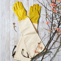 Heavy-Duty Bramble Gloves With Integrated Arm Guards - Large
