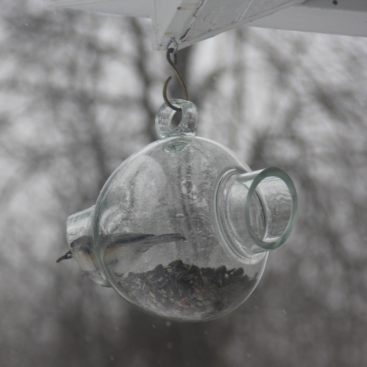 Large Glass Bird Feeder