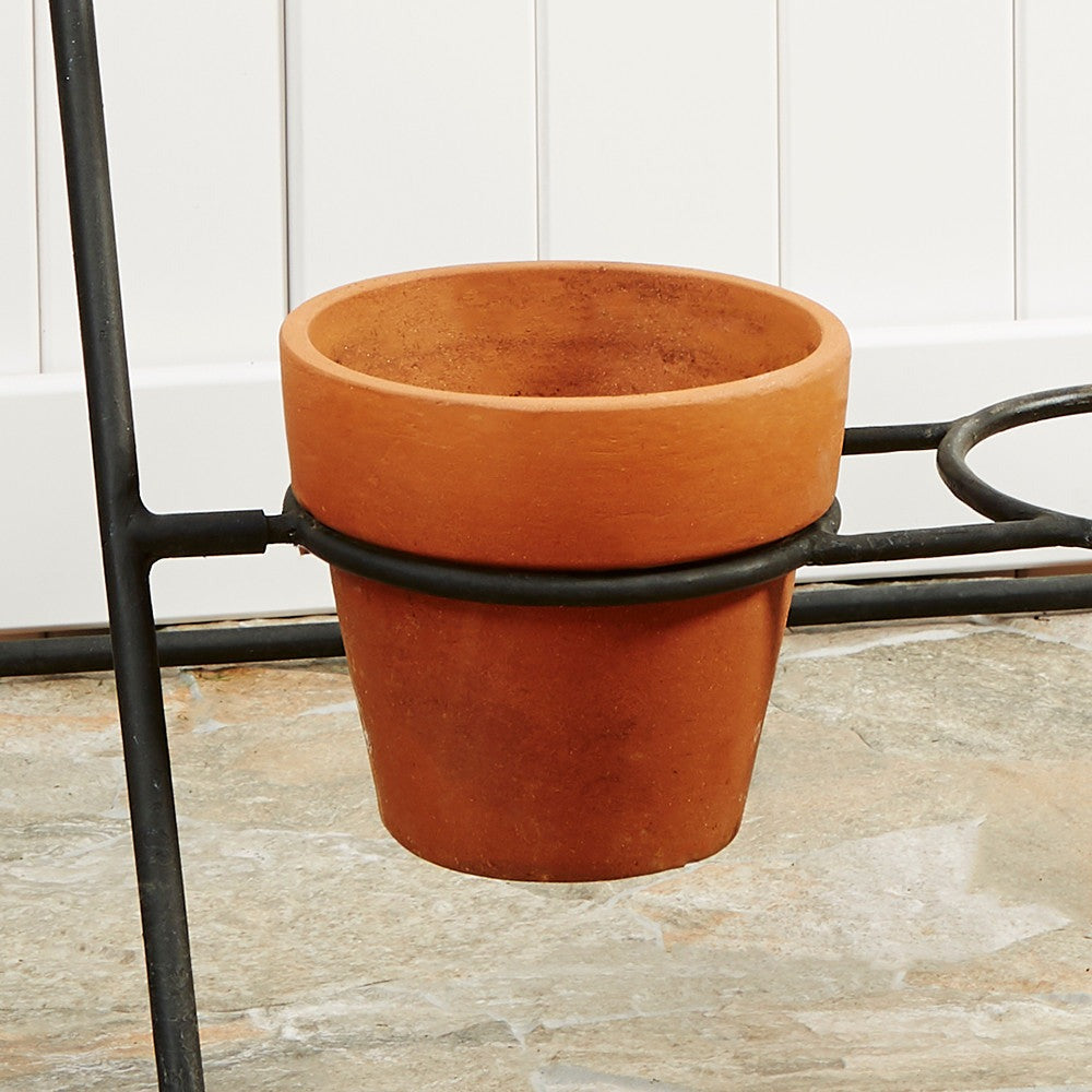 Single Terracotta Pot