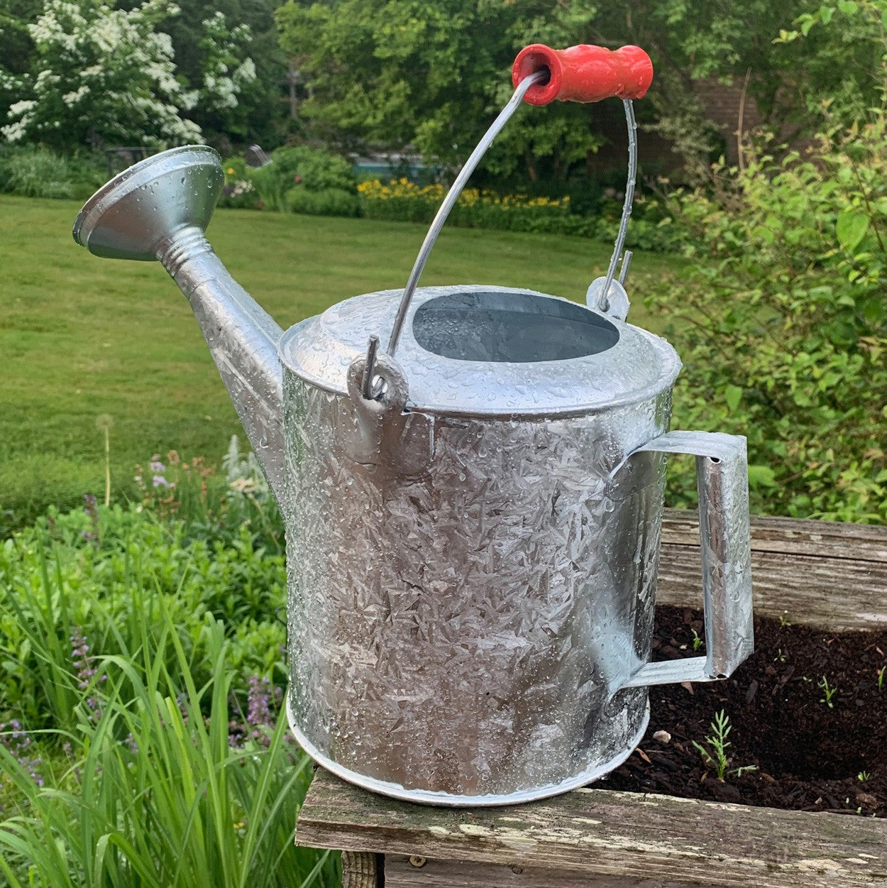 Galvanized 1.5 Gallon Watering Can with Wooden Handle