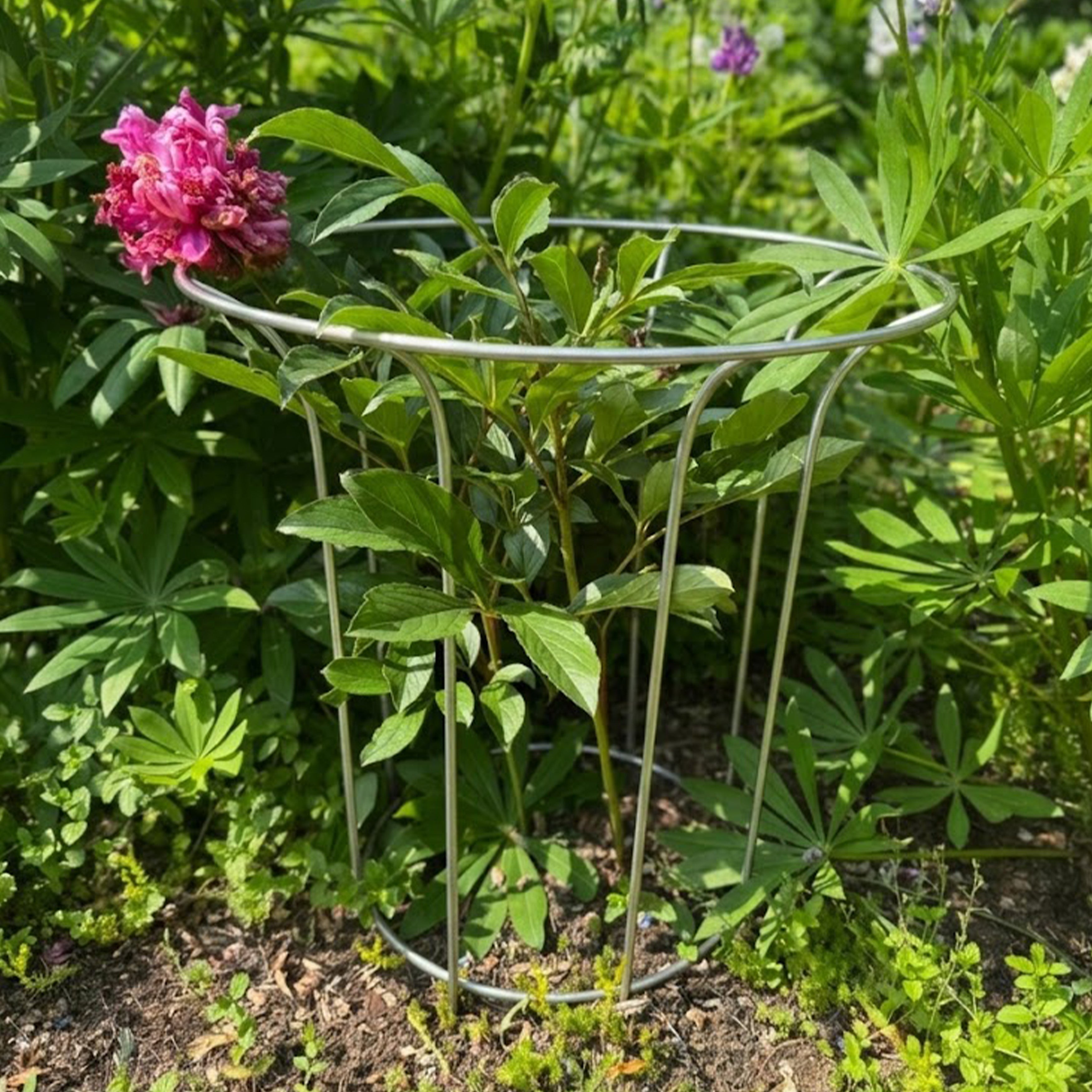 Fluted Garden Support (Set of 4)