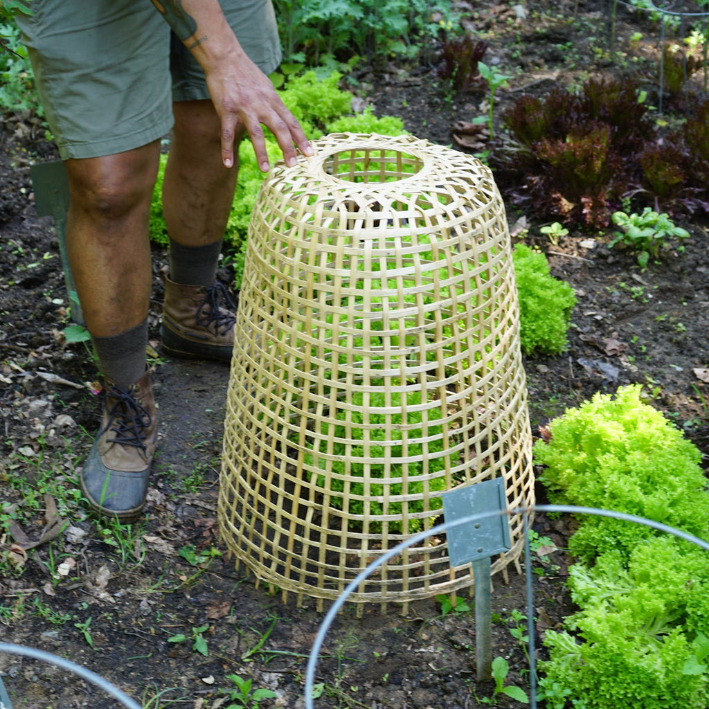 Woven Bamboo Garden Cloche