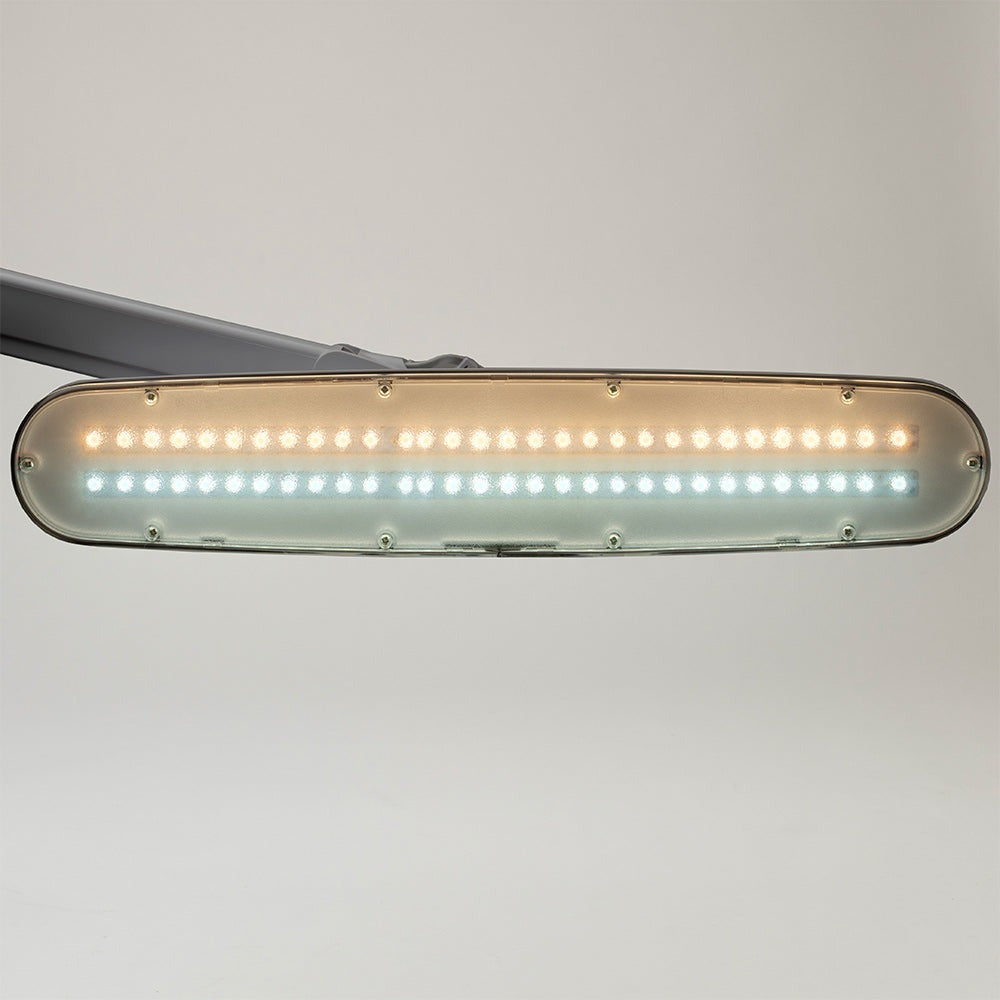 Professional Task Light