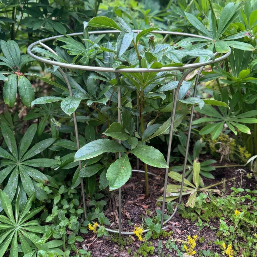 Fluted Garden Support (Set of 4)