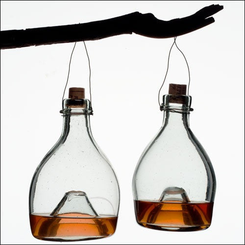 Eco-Friendly Glass Wasp Trap