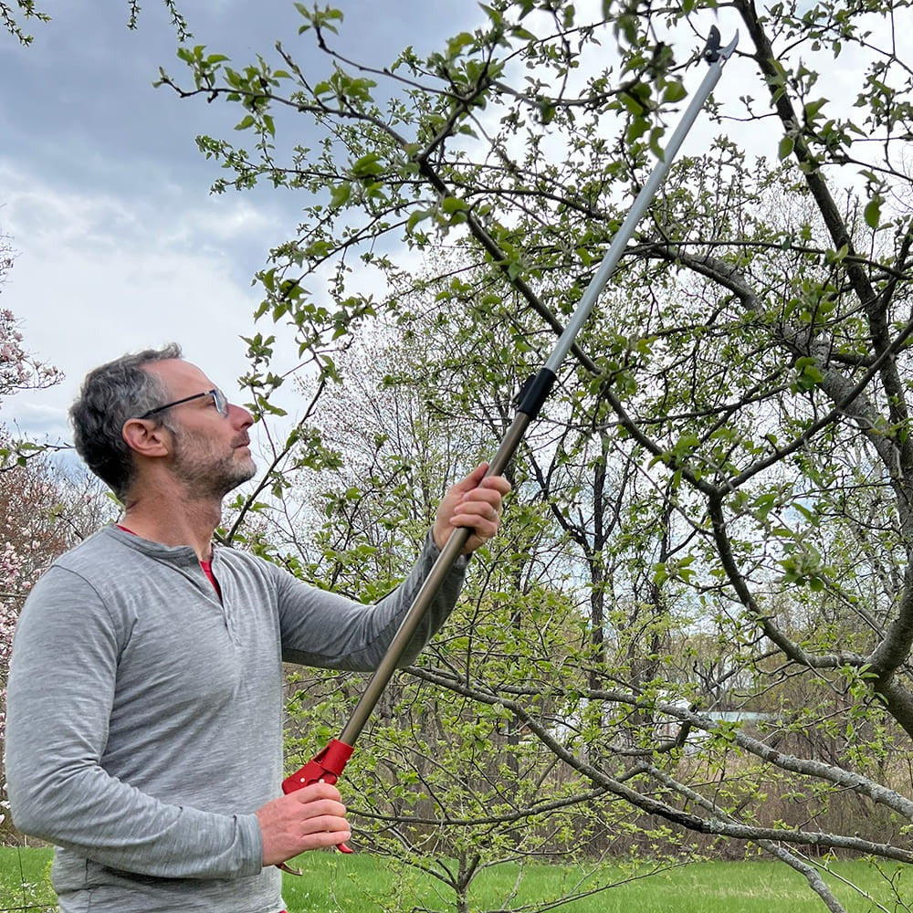 Long Reach Pruner (Extends to 5 Feet)