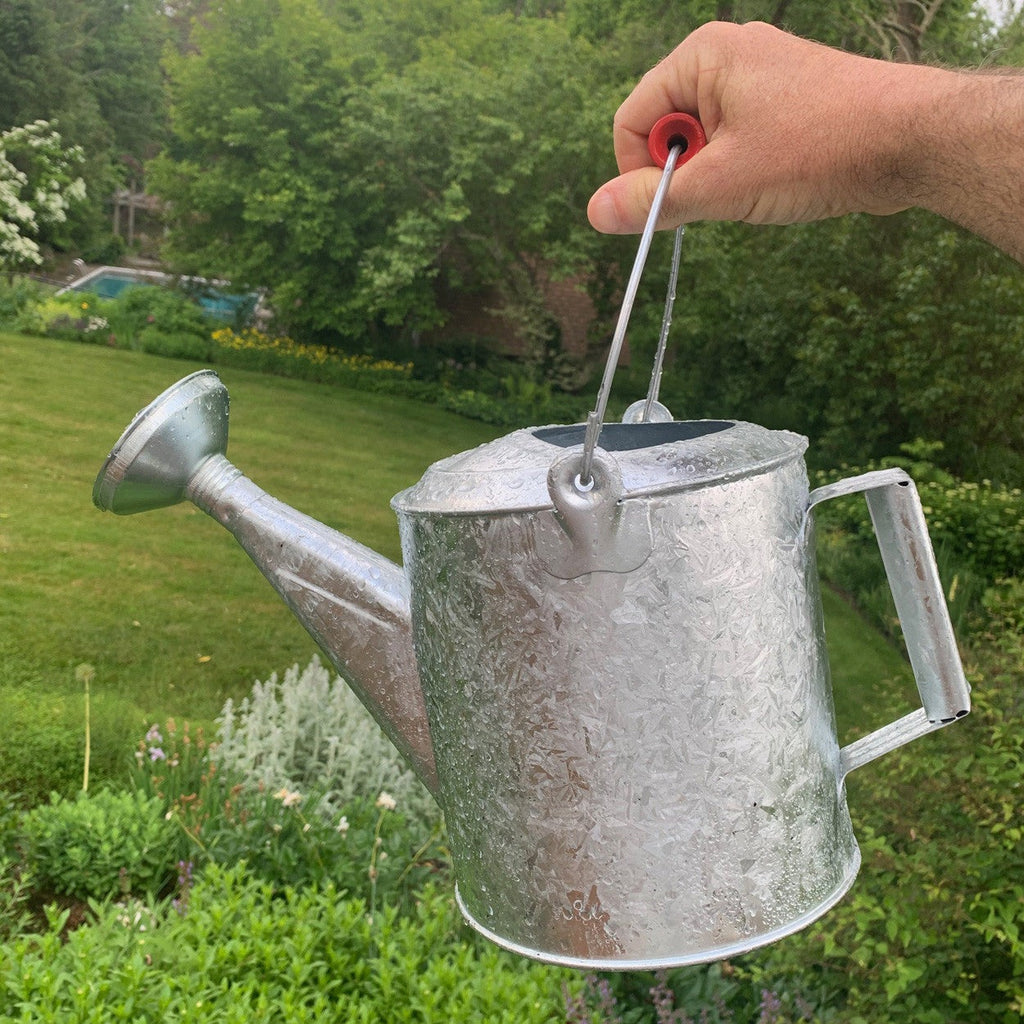 Galvanized 1.5 Gallon Watering Can with Wooden Handle