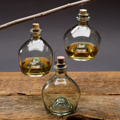 Eco-Friendly Glass Wasp Trap