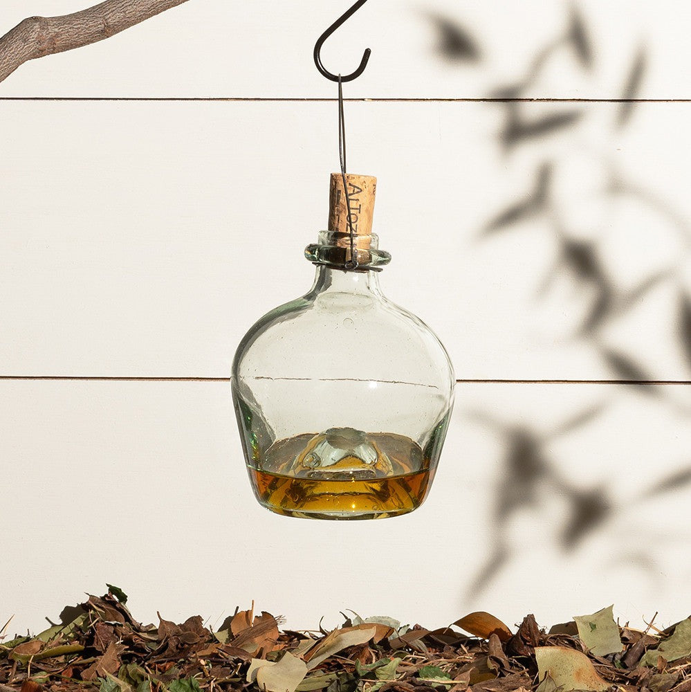 Eco-Friendly Glass Wasp Trap