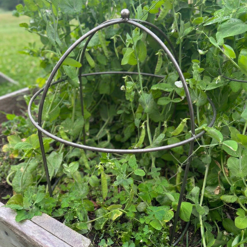 Domed Garden Support (Set of 4)