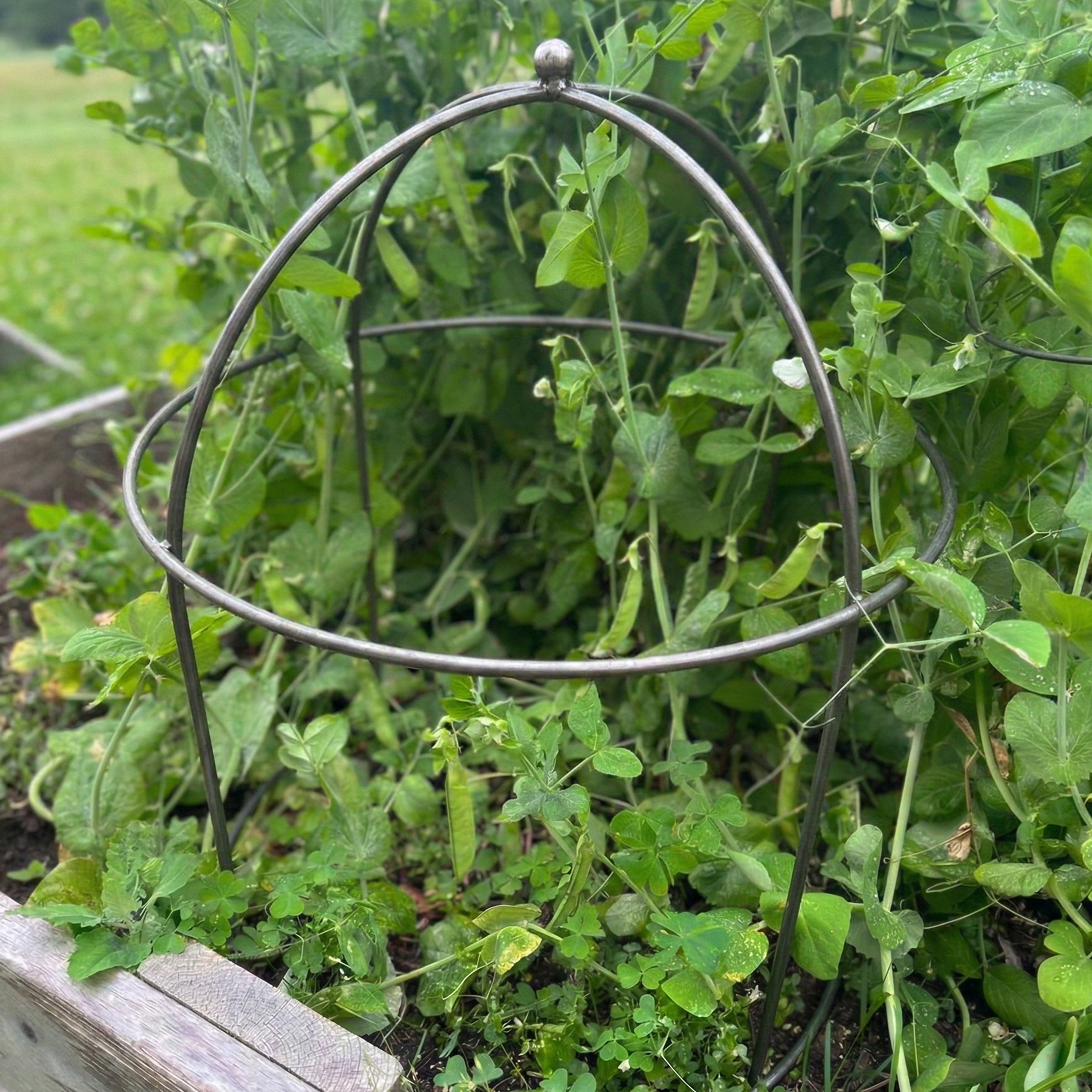 Domed Garden Support (Set of 4)