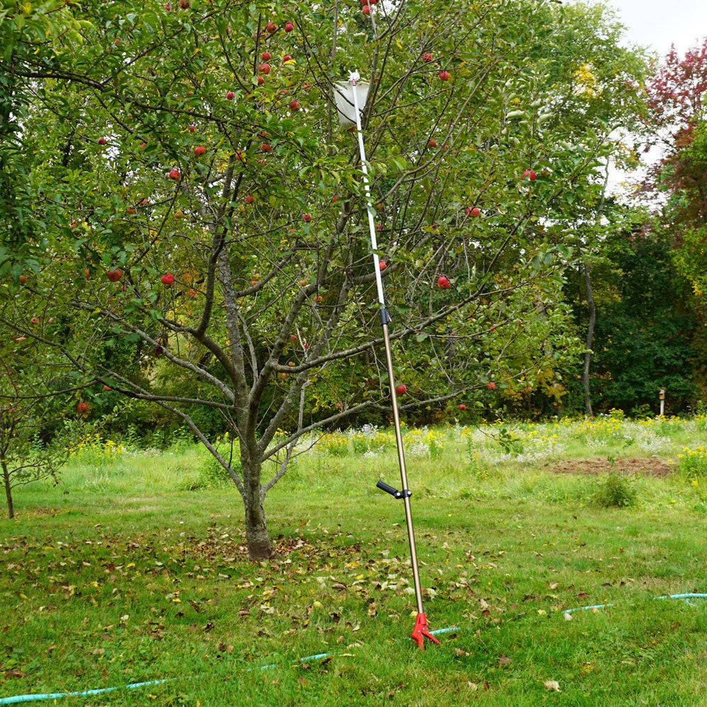 Telescopic Fruit Picker