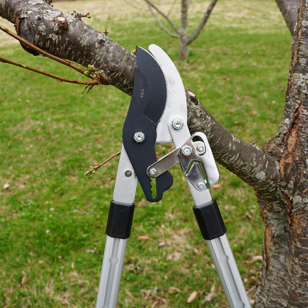 Heavy Duty Bypass Lopper