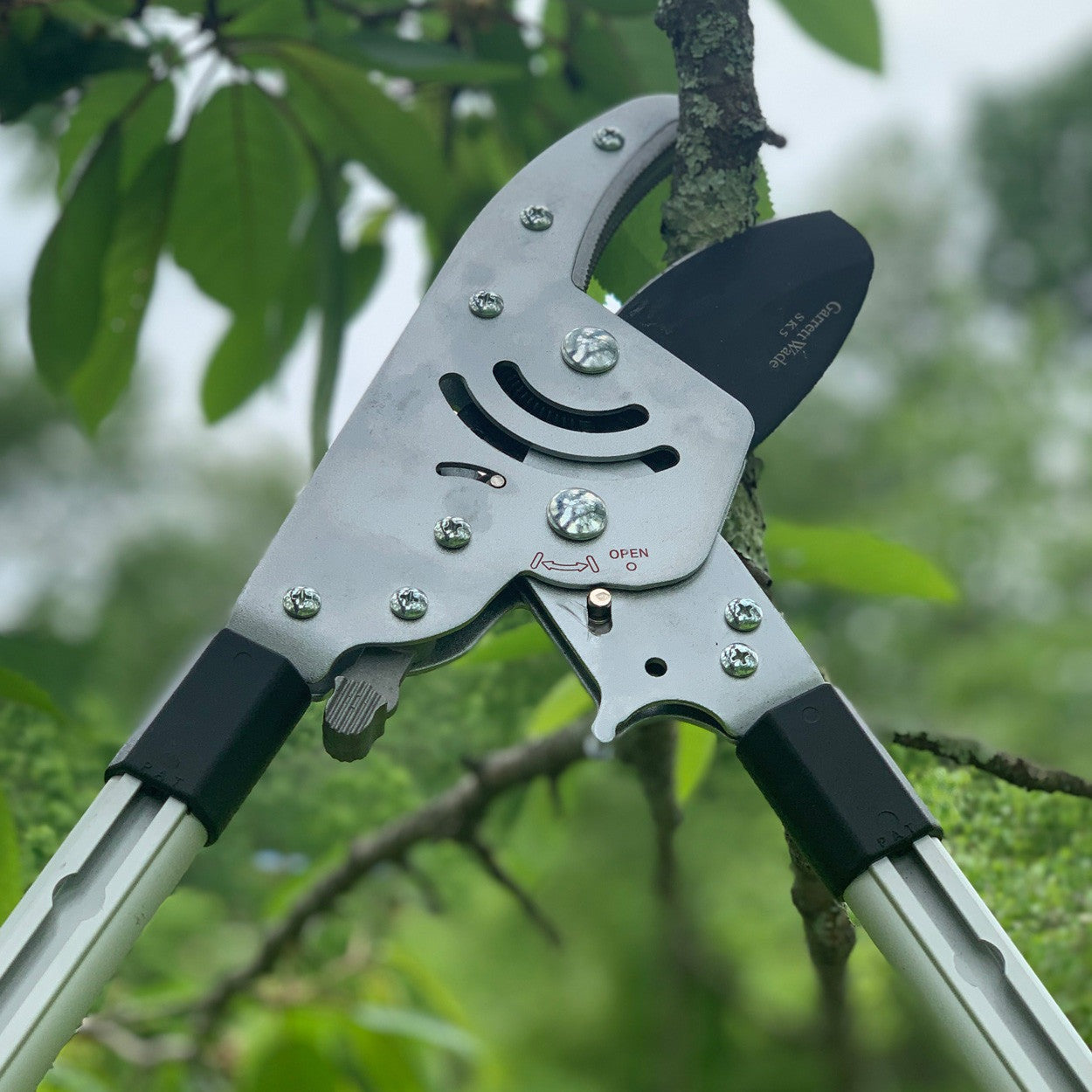 Ultimate Pruning Set